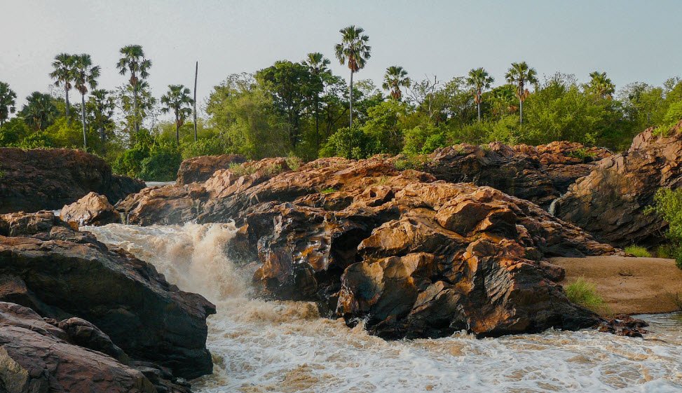 W National Park (Parc W), Tillabéri Region (tri-border with Benin & Burkina Faso), Niger